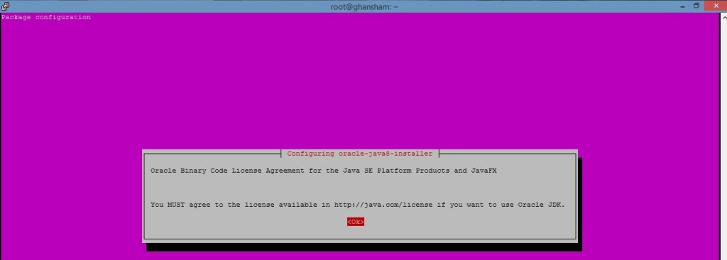 Accept the java license for install the java
