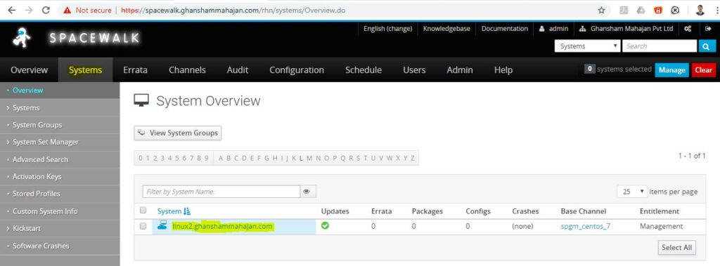 Spacewalk Server showing the registered client
