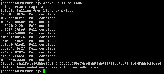 How to Install WordPress with Docker
